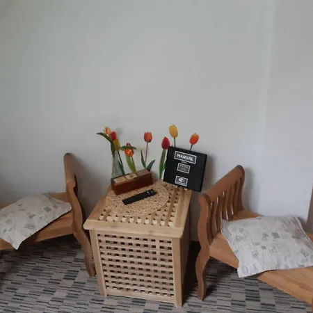 Art Guest house